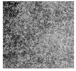 info-268-252 info-268-252